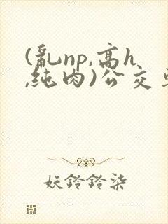 (乱np,高h,纯肉)公交车群p