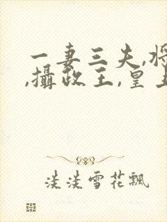 一妻三夫,将军,摄政王,皇上小说