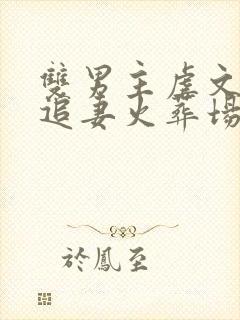 双男主虐文he追妻火葬场