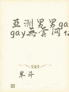 亚洲男男gaygay无套网站封面
