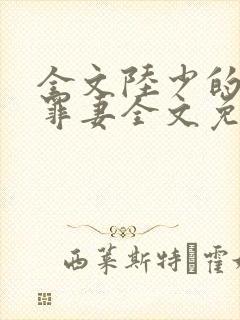 全文陆少的隐婚罪妻全文免费阅读