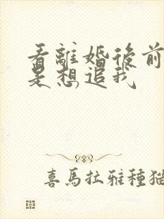 看离婚后前夫总是想追我