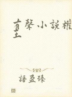 有声小说权术之王