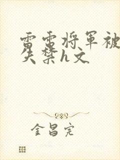 雷电将军被肉到失禁h文