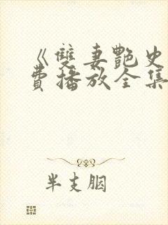 《双妻艳史》免费播放全集