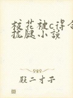 校花被c得合不拢腿小说