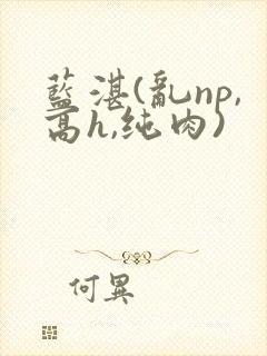 蓝湛(乱np,高h,纯肉)封面