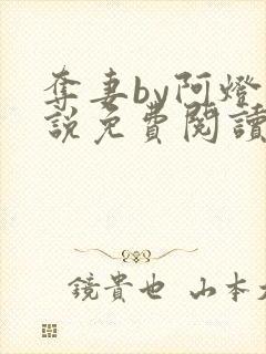 夺妻by阿灯小说免费阅读笔趣阁封面