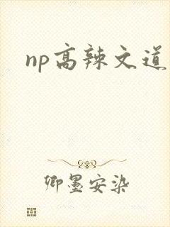 np高辣文道具封面