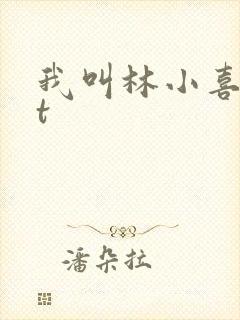 我叫林小喜txt
