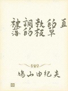 被调教的直男堕落的校草封面