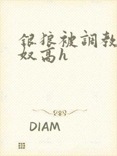 银狼被调教成肉奴高h封面