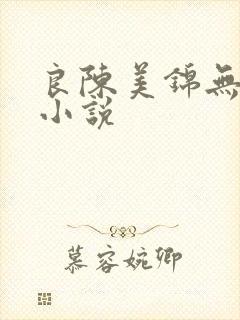 良陈美锦无删减小说封面
