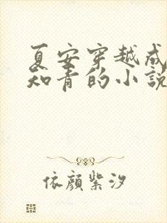 夏安穿越成下乡知青的小说
