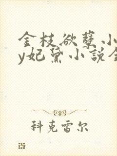 金枝欲孽小说by妃黛小说全文阅读