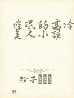 催眠的高冷双性美人小说