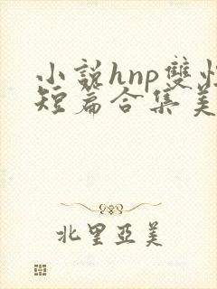 小说hnp双性短篇合集美人