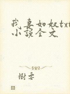 我妻如奴txt小说全文