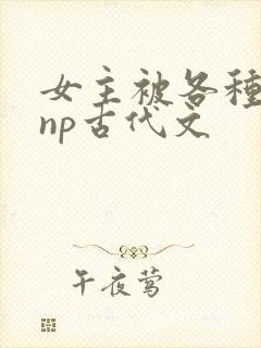 女主被各种淫玩np古代文