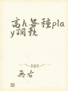 高h各种play调教