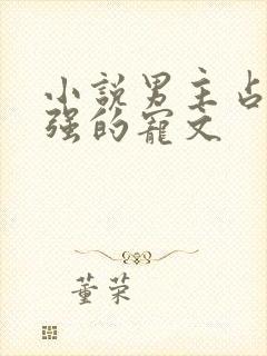 小说男主占有欲强的宠文