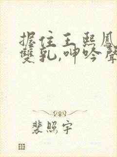 握住王熙凤硕大双乳,呻吟声