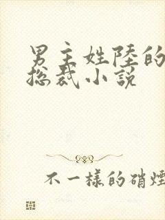 男主姓陆的霸道总裁小说