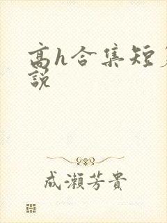 高h合集短篇小说