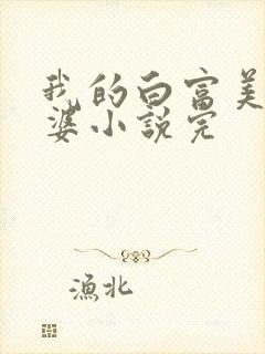 我的白富美的老婆小说完封面