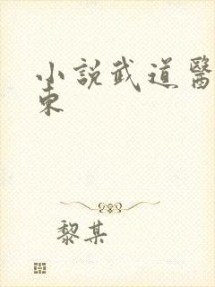 小说武道医王吴东