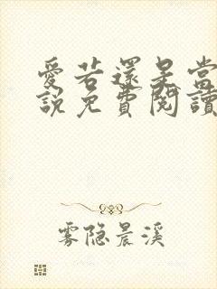 爱若还是当初小说免费阅读