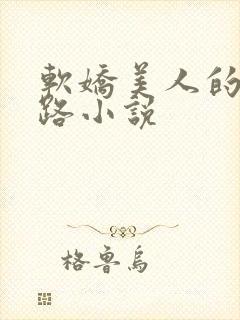 软娇美人的风月路小说封面