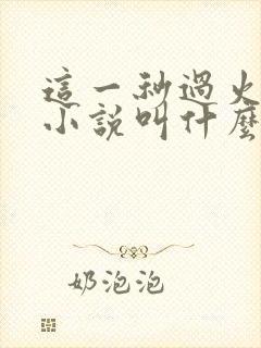 这一秒过火原著小说叫什么名字封面