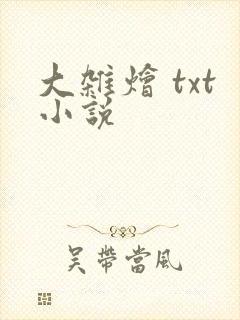 大杂烩 txt小说
