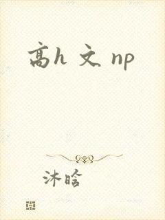 高h 文 np