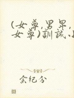 (女尊,男卑,女尊)训诫小说封面