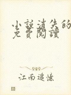 小说消失的爱人免费阅读封面