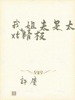 我姐夫是太子txt精校