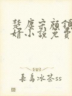 楚尘宋颜镇国神婿小说免费阅读