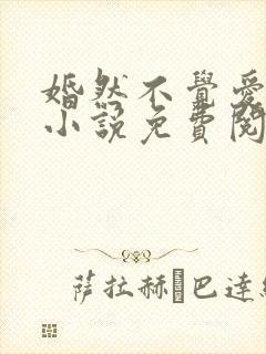 婚然不觉爱上你小说免费阅读