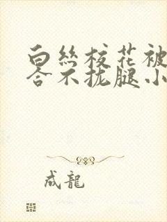 白丝校花被c得合不拢腿小说