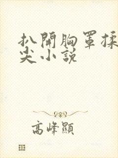 扒开胸罩揉她乳尖小说