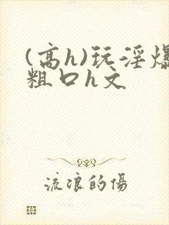 (高h)玩淫爆粗口h文
