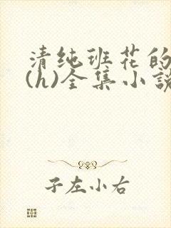 清纯班花的淫辱(h)全集小说封面