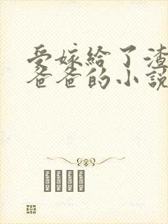 受嫁给了渣攻的爸爸的小说