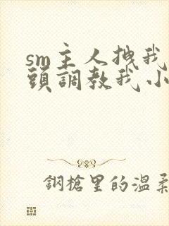 sm主人拽我奶头调教我小说