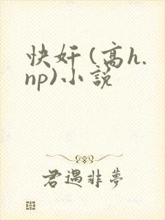 快奸 (高h.np)小说