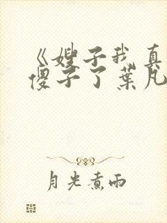 《嫂子我真不是傻子了叶凡》