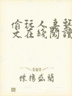 偷玩人妻系列h文在线阅读