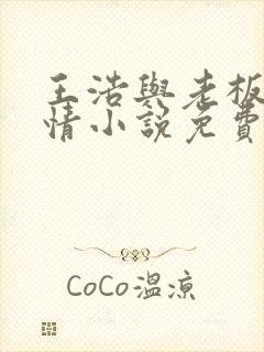 王浩与老板娘言情小说免费阅读封面